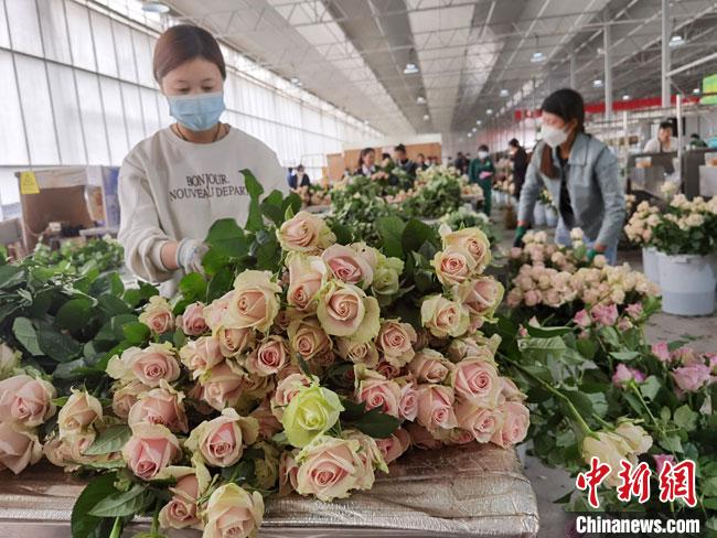 兰州新区科技拓荒育“智慧田园”：荒凉黄土地变“花菜篮子”