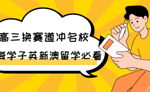 25届上海留学生必看！你的国际本科1+3选对了吗？录取率大揭秘！