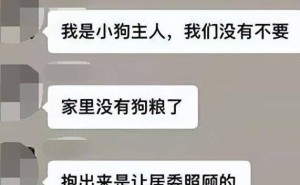 "王思聪怒斥棒杀柯基事件：上海城大，却无小生命容身之地！"