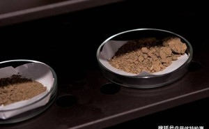 土壤微生物量碳氮测定：精准操作，细节决定科学成果！