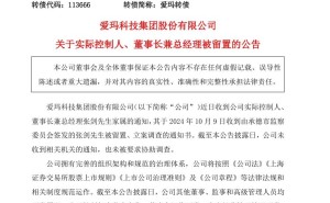 "爱玛科技风云突变：掌舵人张剑被留置，企业未来何去何从？"