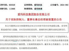 爱玛实控人被立案调查！身家超160亿，妻子任公司副董事长