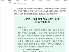 光伏行业防内卷座谈会：如何化解过剩产能？