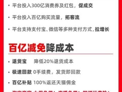 双11电商大战在即，阿里京东如何迎战新势力？