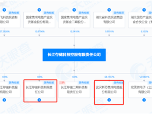 武漢芯片獨(dú)角獸新芯股份IPO獲受理，計(jì)劃投310億！