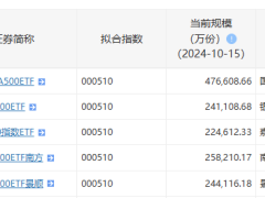 中证A500调整首日，吸金56亿份，调整魅力何在？