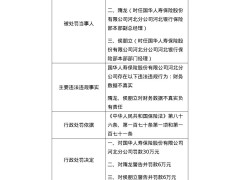 国华人寿河北分公司被罚30万，竟因财务数据不真实？