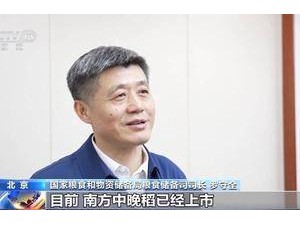 秋粮丰收在望！3亿吨仓容，农民售粮无忧？