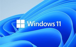 Win11更新遇离谱Bug，微软紧急暂停推送，西数SSD用户需注意！