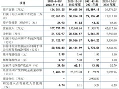 三晶电气IPO终止：年营收15.5亿，曾拟募资12亿，为何止步？