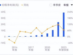 连续9年业绩猛增，这个低调巨头终于火了？