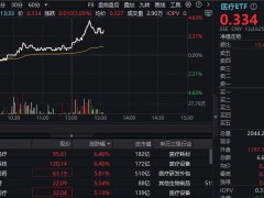 医保预谈判进行中，医疗ETF午后大涨，爱博医疗、奕瑞科技领涨！