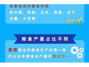 秋收時節話糧食：夏糧秋糧有何異同？收購又有何講究？