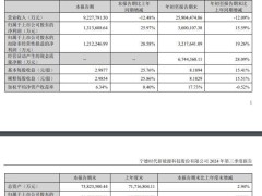 宁德时代第三季度净利润131亿，同比增长近26%，啥情况？