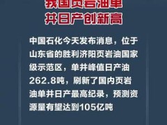 我国页岩油单井日产破262.8吨，创新纪录！