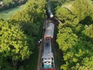 火車與野生象群不幸相撞，致兩頭大象喪生