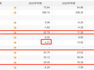 中原證券投行遭暫停，6個月后能否重啟新篇章？