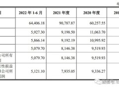 海达光能IPO折戟，朱全海家族控股89%募资梦碎