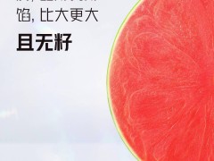 紅魔10 Pro系列亮相：輕薄設計搭配升級配置，游戲體驗再提升！