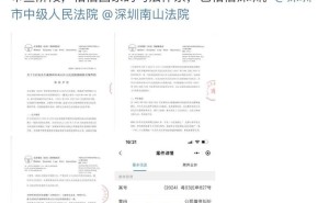 王自如回应被强制执行：重审申请立案，坚信国家司法