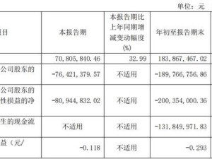 基因治療CDMO領(lǐng)頭羊和元生物，前三季度凈虧1.9億何時解？