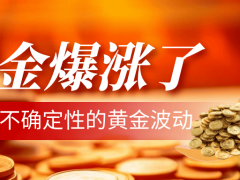 国际黄金价格新高不断，万洲金业详细解析投资机遇