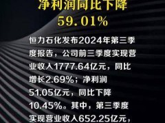 恒力石化：第三季度净利润同比下降59.01%