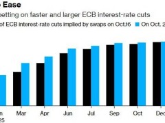 12月将降息50个基点？欧洲央行官员看法不一