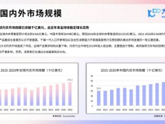 2024全球内衣市场洞察报告