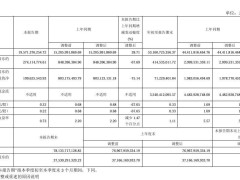 闻泰科技2024前三季营收破530亿，同比增长近两成！