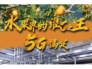 新時代中國調研行之看區域·西部篇｜聞！水果界的“維C之王”，5G搞定