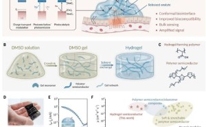 水凝胶半导体材料新突破，或将开启生物集成电路新篇章！