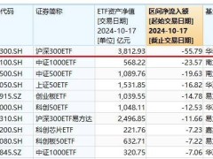 ETF巨无霸遭大额赎回，华泰柏瑞如何驶过“阵痛期”？