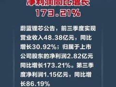 蔚蓝锂芯：前三季度净利润同比增长173.21%