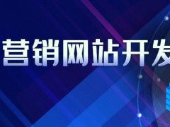 企业营销网站开发-12年技术经验，专业设计制作