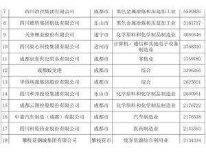 “2024四川民營企業100強”榜單發布