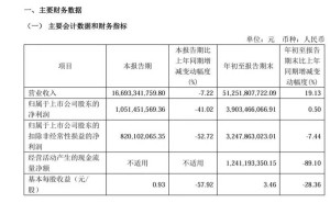 传音控股2024Q3净利润达10.51亿，表现如何？