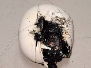 漫步者藍牙耳機突爆事件引關注，客服回應：產品電池已獲3C認證