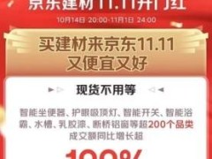 京东11.11建材服务大受欢迎！灯饰0元安装订单激增168%，省心之选！