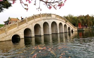 巴菲特连续抛售苹果股，苹果缘何失去“股神”青睐？