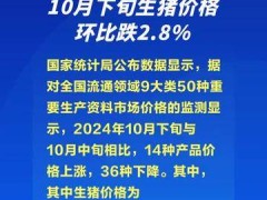 国家统计局：10月下旬生猪价格环比跌2.8%