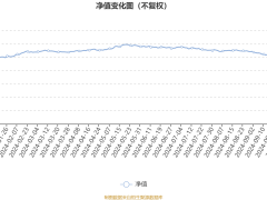 安信红利精选混合A：2024年第三季度利润590.8万元 净值增长率7.08%