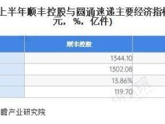 顺丰控股领跑2024快递市场：上半年业务量突破62.1亿件，数字化供应链生态显成效