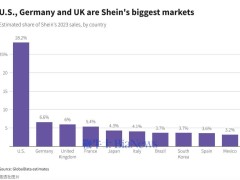 Shein愛爾蘭公司2023年業績亮眼：銷售額達83.6億美元，猛增68%