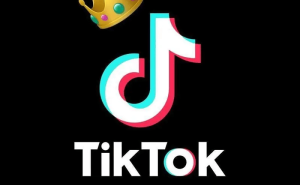 TikTok公会：数字娱乐浪潮中的璀璨新星与生态重塑者