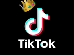 TikTok 公会：数字时代娱乐新势力的崛起