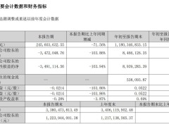 紫天科技2024年前三季度净利润大幅下滑95.88%