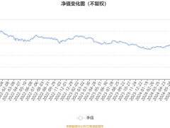 嘉实优化红利混合A：2024年第三季度利润2.46亿元 净值增长率16.55%