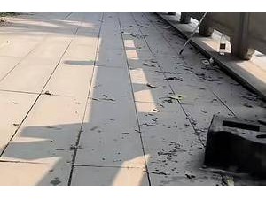 江苏钓友发现铁路桥下路面沉降 铁路部门：已查看，对铁路桥无影响