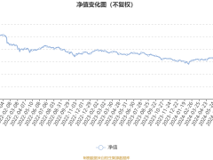 南方盛元红利混合：2024年第三季度利润5841.16万元 净值增长率11.16%